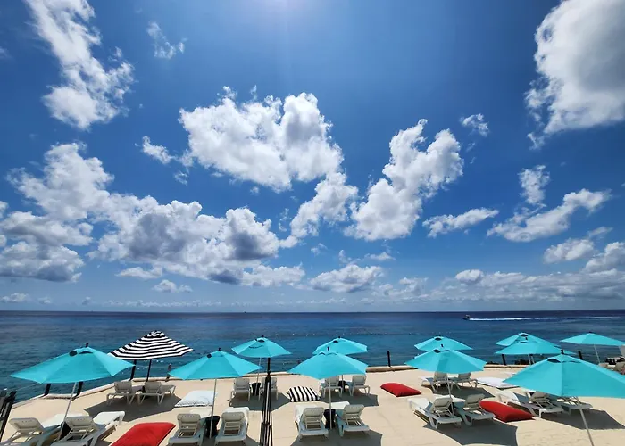 Coral Princess & Dive 4*